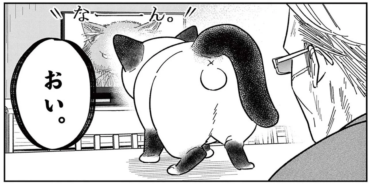いつもはのんびり屋な野良猫。テレビに映る「ボス猫」を見て豹変