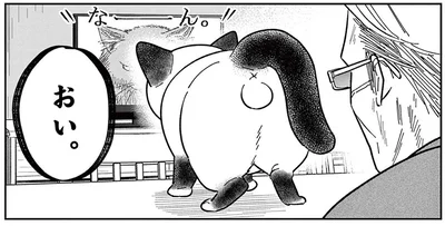 いつもはのんびり屋な野良猫。テレビに映る「ボス猫」をを見て豹変!?