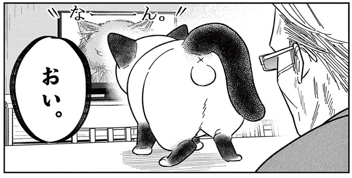 いつもはのんびり屋な野良猫。テレビに映る「ボス猫」を見て豹変!?