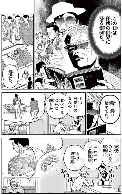 猫、飼い始めてね