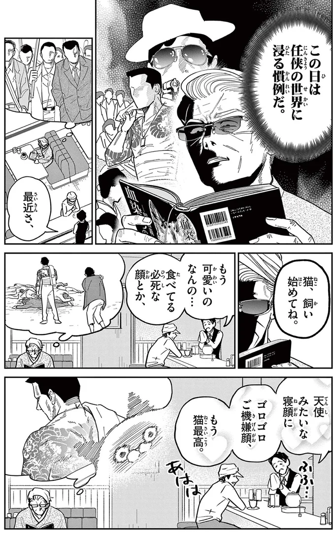 猫、飼い始めてね