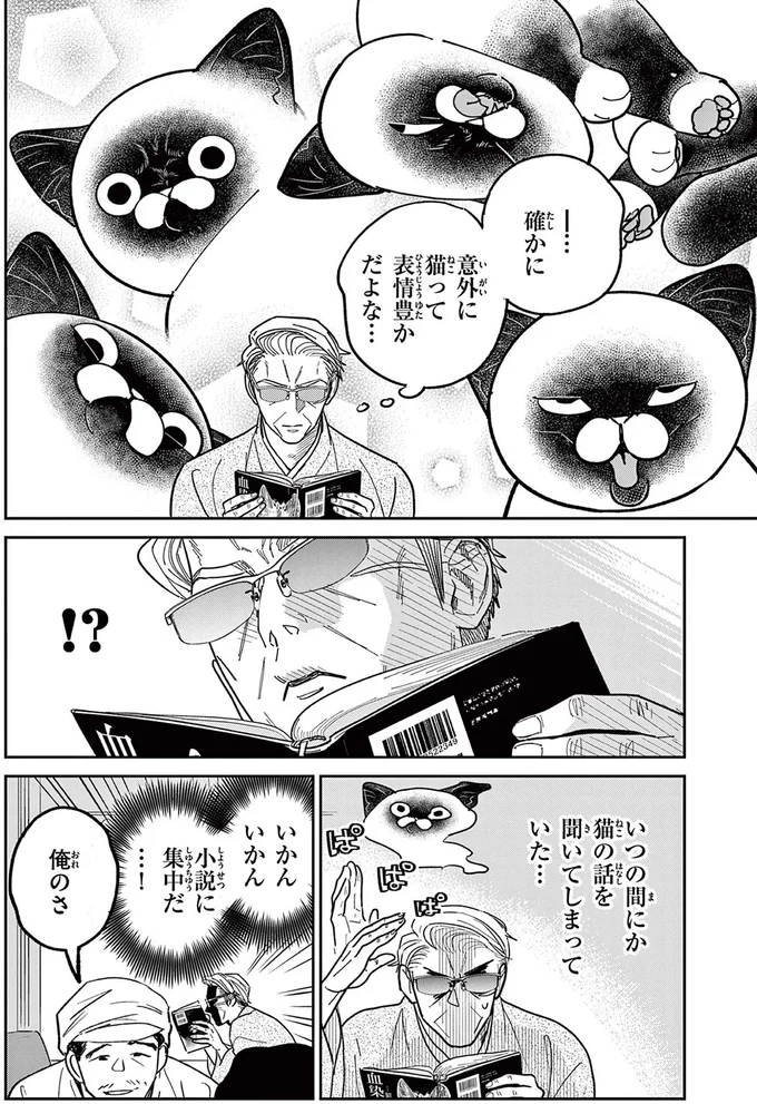 確かに意外に猫って表情豊かだよな...