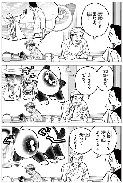 元野良でまんまるでさ