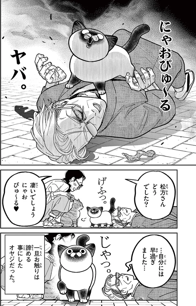 にゃおぴゅ～るヤバ