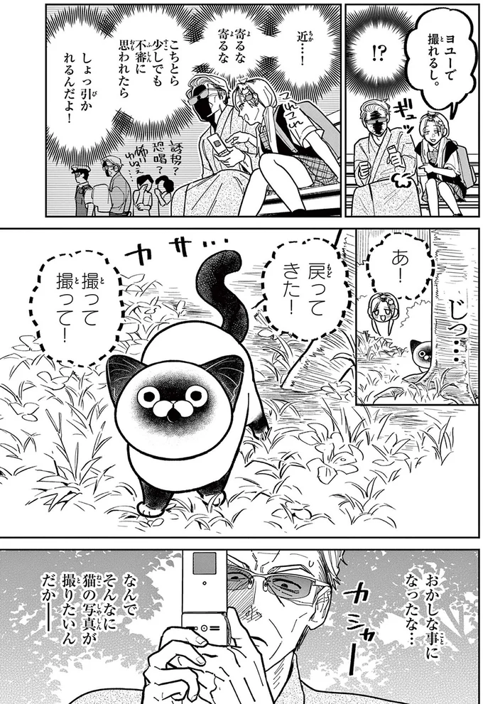 ヨユーで撮れるし