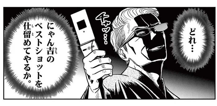 写真に収まってくれない野良猫。元極道がガラケーでチャレンジすると？