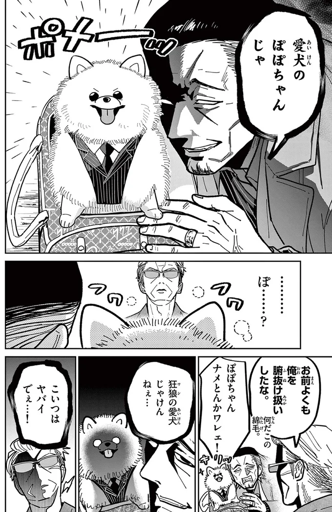 愛犬のぽぽちゃんじゃ