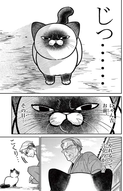 にゃん吉、お前、やれるって言うのか...！？