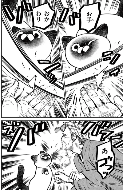 お手、おかわり