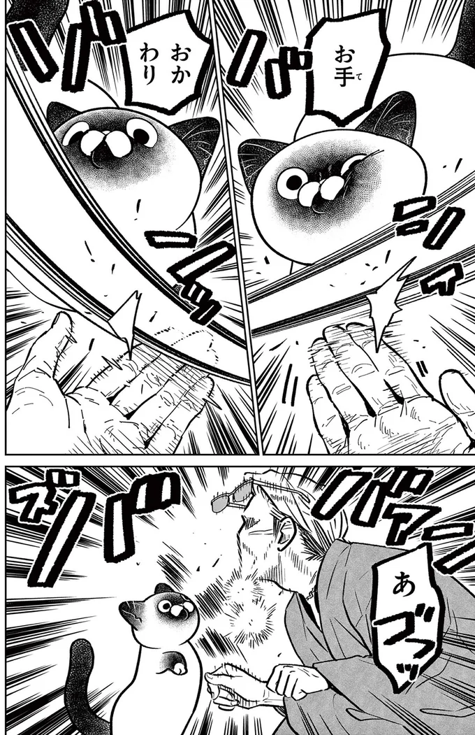 お手、おかわり