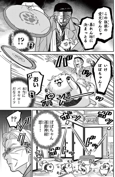 いけ、ぽぽちゃん！