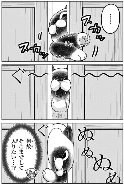 何故そこまでして入りたい...！？