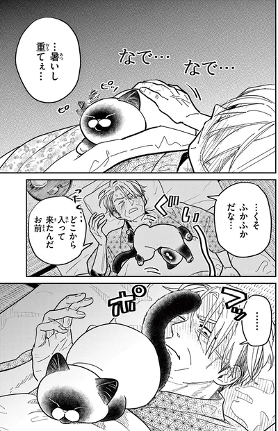 ふかふかだな...