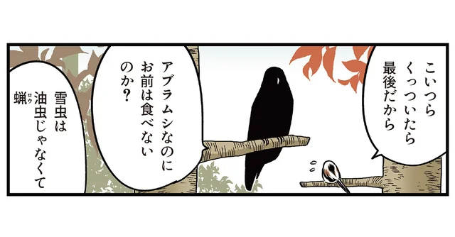 雪虫を食べずに襲われるがままのシマエナガ。食べない理由は一体？