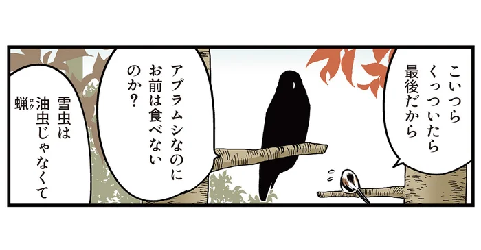 雪虫を食べずに襲われるがままのシマエナガ。食べない理由は一体？