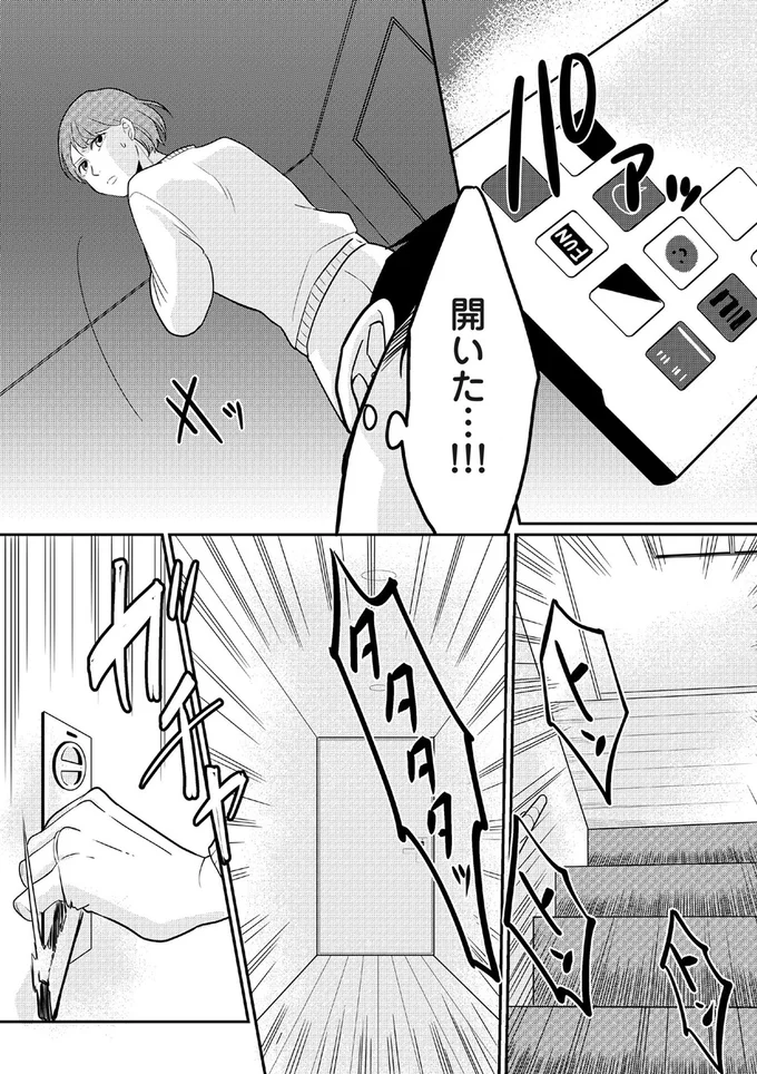 『【復讐決行】3000万強奪旦那と浮気相手を地獄に叩き落してやりました』より