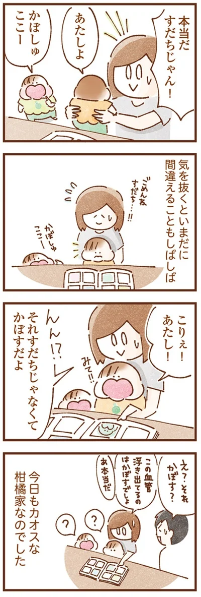 『双子育児、ちょっぴり詰んでます！』より