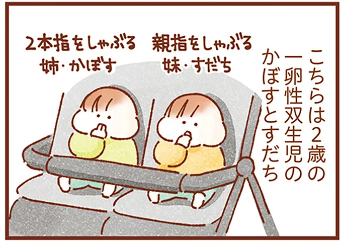 一卵性双生児のかぼすとすだち