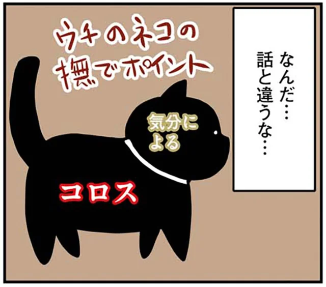 尻尾の付け根とか好きなはずでは？ うちの猫の「なでポイント」が話と違いすぎ