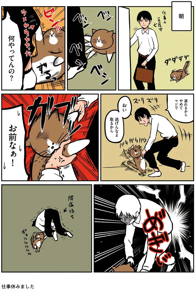 『鴻池剛と猫のぽんた ニャアアアン！1』より