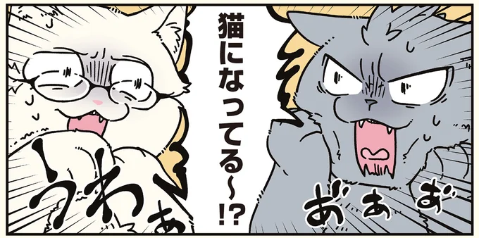 猫になってる~!?