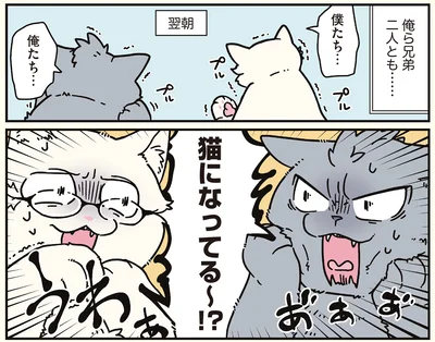 俺ら兄弟二人とも…