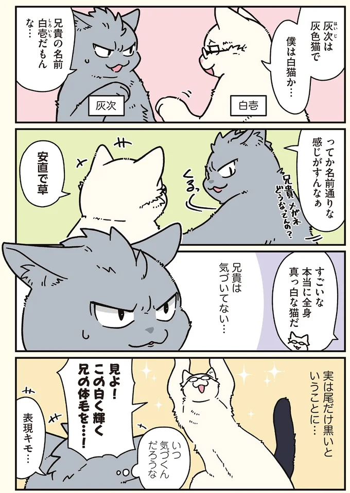 兄貴は気づいてない…