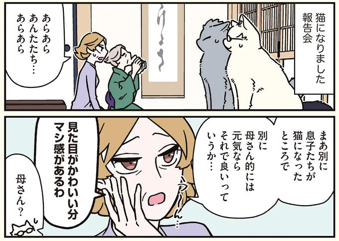 猫になりました報告会