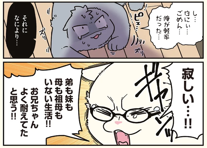 『ブラック企業の社員が猫になって人生が変わった話8 猫兄弟の場合』より