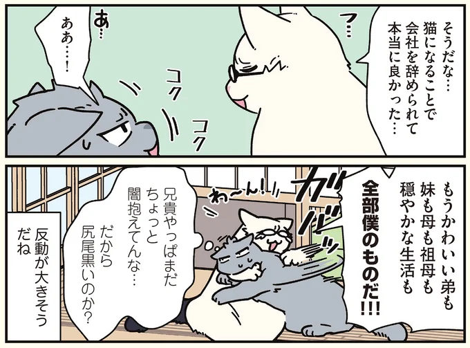 『ブラック企業の社員が猫になって人生が変わった話8 猫兄弟の場合』より