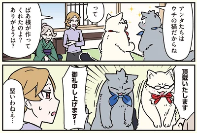 『ブラック企業の社員が猫になって人生が変わった話8 猫兄弟の場合』より