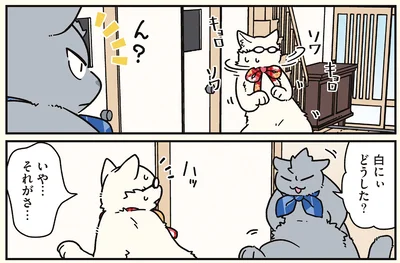 『ブラック企業の社員が猫になって人生が変わった話8 猫兄弟の場合』より