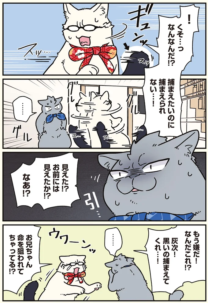 『ブラック企業の社員が猫になって人生が変わった話8 猫兄弟の場合』より