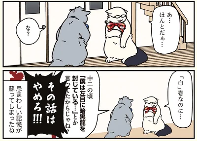 『ブラック企業の社員が猫になって人生が変わった話8 猫兄弟の場合』より