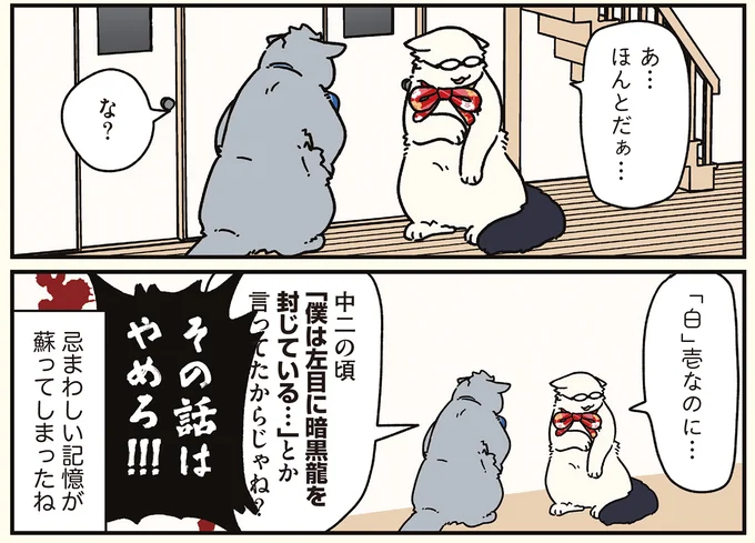 『ブラック企業の社員が猫になって人生が変わった話8 猫兄弟の場合』より