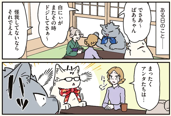 『ブラック企業の社員が猫になって人生が変わった話8 猫兄弟の場合』より