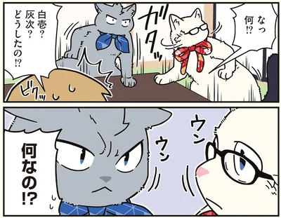 『ブラック企業の社員が猫になって人生が変わった話8 猫兄弟の場合』より