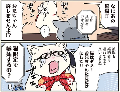 『ブラック企業の社員が猫になって人生が変わった話8 猫兄弟の場合』より