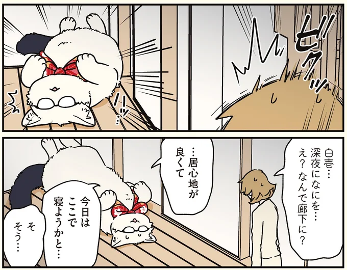 『ブラック企業の社員が猫になって人生が変わった話8 猫兄弟の場合』より