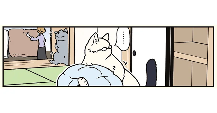 狭いところが大好き？ 猫になった兄弟が人間だった頃を思い出して満喫