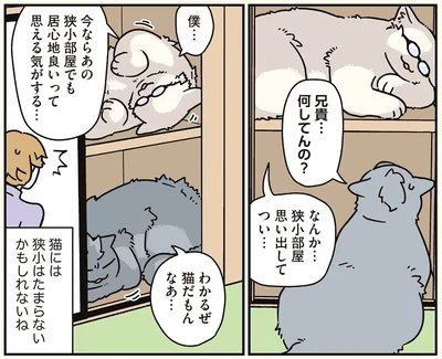狭小部屋思い出してつい…