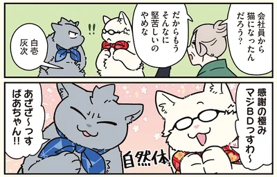 マジBDっすわ〜