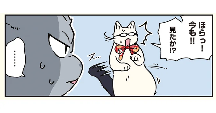 目の端にちらつく黒いものは何？ 猫になった兄の知らない謎の物体