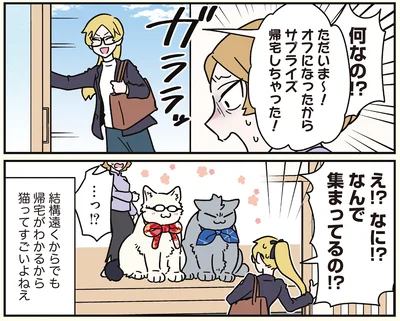 なんで集まってるの!?