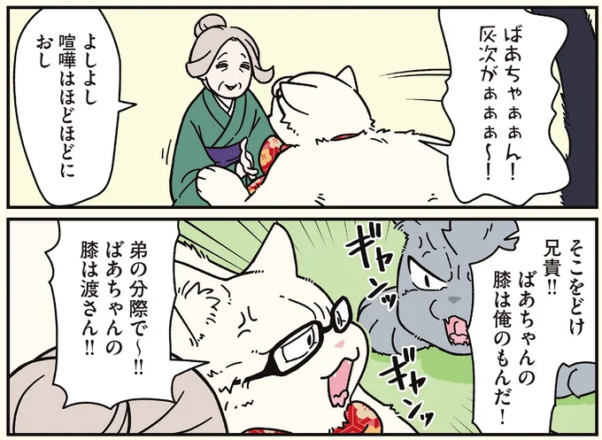 弟の分際で〜‼