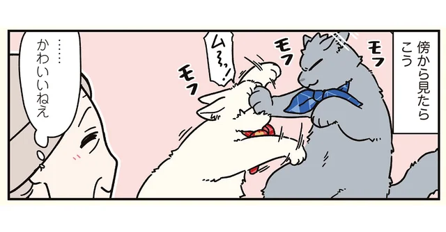 本人（猫）たちは至って真面目。ケンカする彼らがモフモフで可愛い