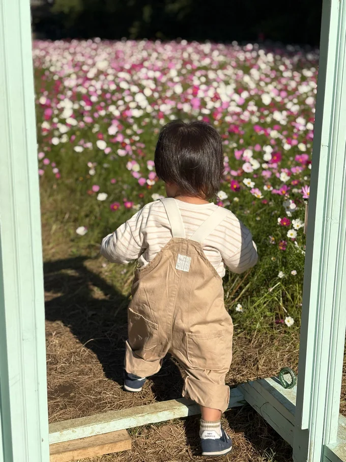 ドアで遊ぶ息子さん▶お誕生日おめでとう！（⇒次へ）