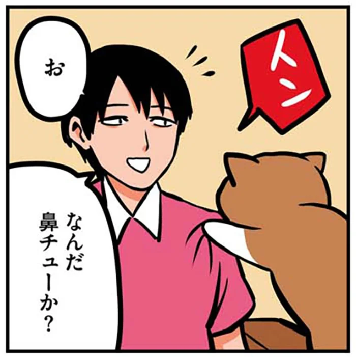 鼻チューか？ 甘えるそぶりを見せた猫が、まさかの裏切り！