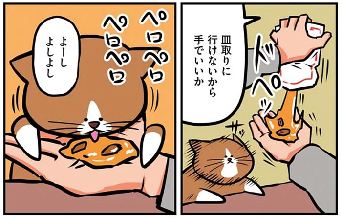 腰が痛すぎて動けない。猫のスープを手であげたら秒で詰んだ話