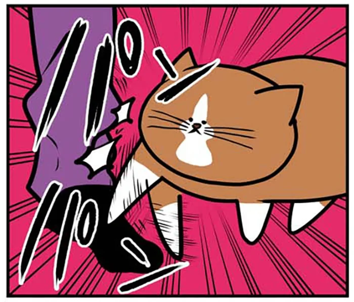 うちの猫、どこで覚えてくるの？ 年々ふてぶてしくなるご飯の催促の仕方